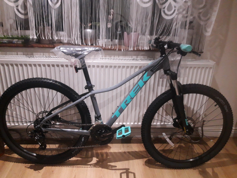 trek bikes evans
